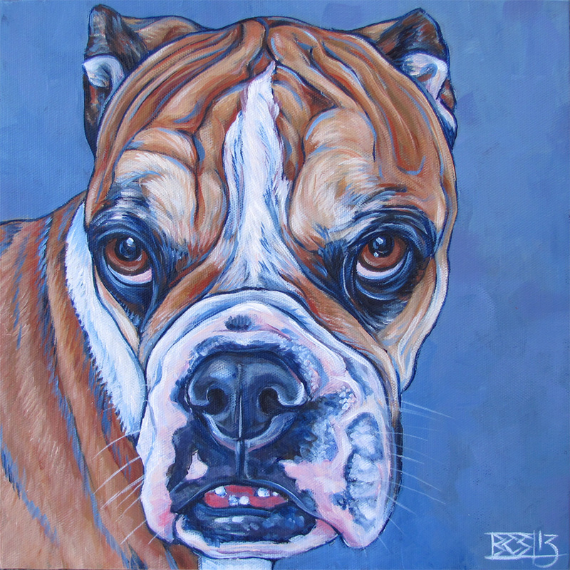 Gallery by Breed Pet Portraits by Bethany
