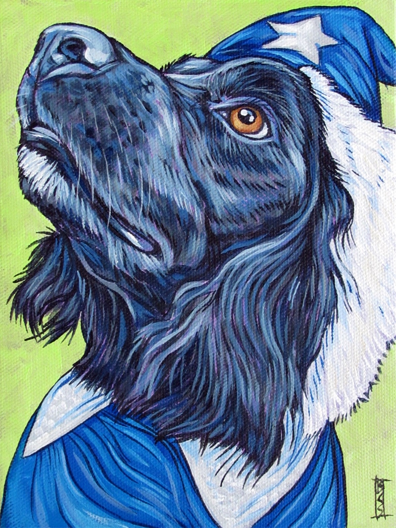 Gallery by Breed Pet Portraits by Bethany